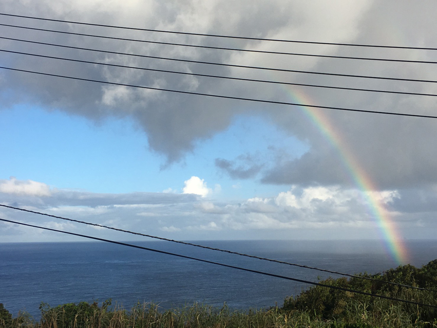 御蔵島、到着