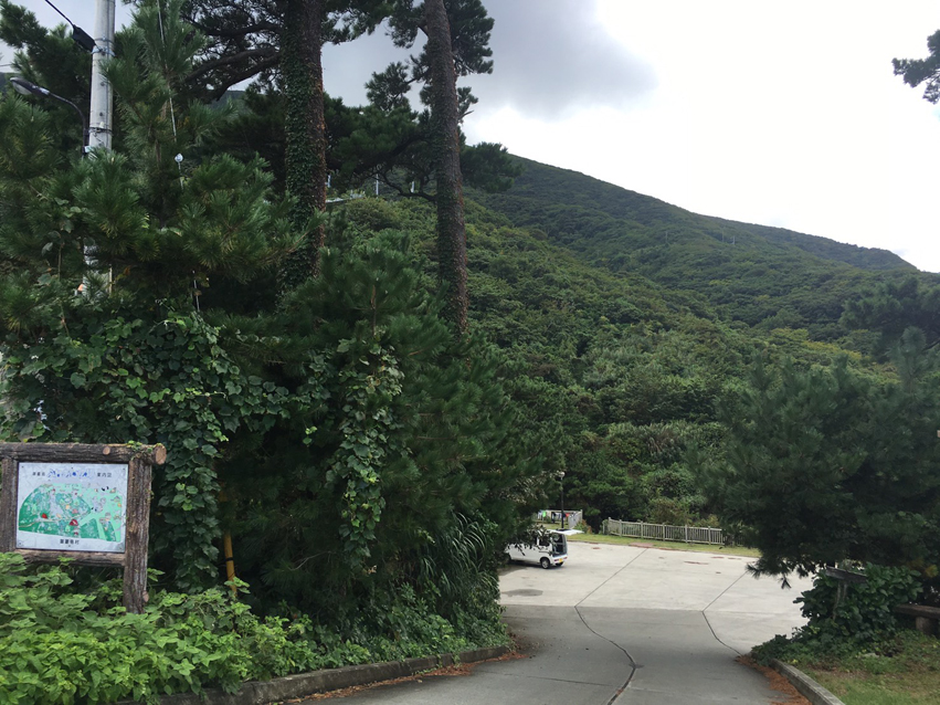 里中散歩