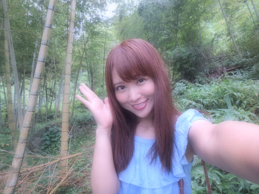 巨樹のあふれる生命力