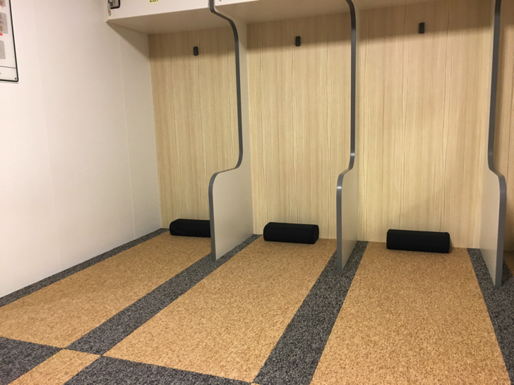 スーパーエコシップ「橘丸」