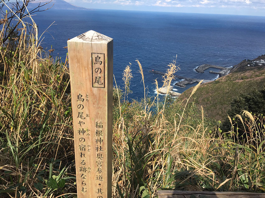 鳥の尾