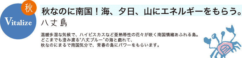 秋 Vitalize 秋なのに南国!海、夕日、山にエネルギーをもらう。 八丈島 温暖多湿な気候で、ハイビスカスなど亜熱帯性の花々が咲く南国情緒あふれる島。どこまでも澄み渡る“八丈ブルー”の海と戯れて、秋なのにまるで南国気分で、常春の島にパワーをもらいます。