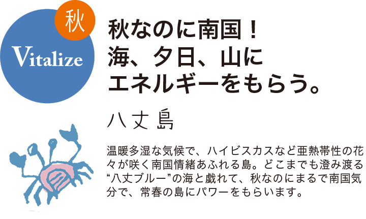 秋 Vitalize 秋なのに南国!海、夕日、山にエネルギーをもらう。 八丈島 温暖多湿な気候で、ハイビスカスなど亜熱帯性の花々が咲く南国情緒あふれる島。どこまでも澄み渡る“八丈ブルー”の海と戯れて、秋なのにまるで南国気分で、常春の島にパワーをもらいます。