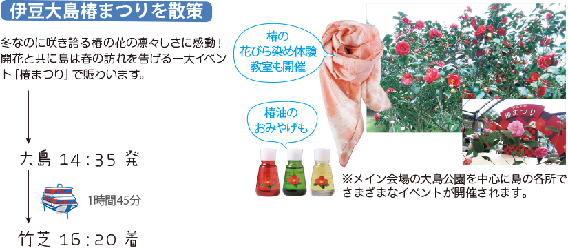 伊豆大島椿まつりを散策 冬なのに咲き誇る椿の花の凛々しさに感動!開化と共に島は春の訪れを告げる一大イベント「椿まつり」で賑わいます。 大島 14:35発 竹芝 16:20着