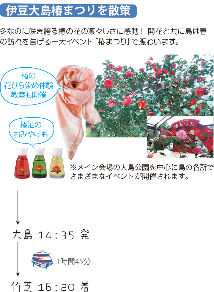 伊豆大島椿まつりを散策 冬なのに咲き誇る椿の花の凛々しさに感動!開化と共に島は春の訪れを告げる一大イベント「椿まつり」で賑わいます。 大島 14:35発 竹芝 16:20着
