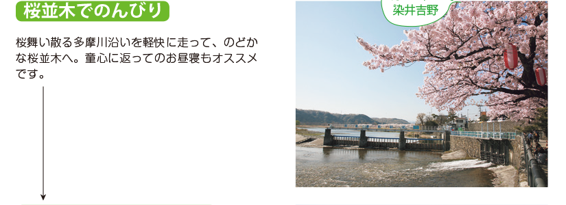 桜並木でのんびり 桜舞い散る多摩川沿いを軽快に走って、のどかな桜並木へ。童心に返ってのお昼寝もオススメです。