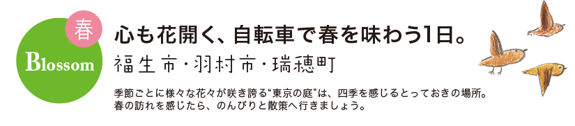 春 Blossom 心も花開く、自転車で春を味わう1日。 福生市・羽村市・瑞穂町 季節ごとに様々な花々が咲き誇る“東京の庭”は、四季を感じるとっておきの場所。
春の訪れを感じたら、のんびりと散策へ行きましょう。