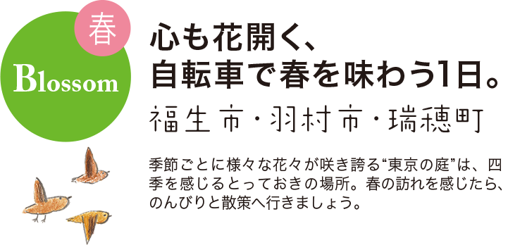 春 Blossom 心も花開く、自転車で春を味わう1日。 福生市・羽村市・瑞穂町 季節ごとに様々な花々が咲き誇る“東京の庭”は、四季を感じるとっておきの場所。
春の訪れを感じたら、のんびりと散策へ行きましょう。