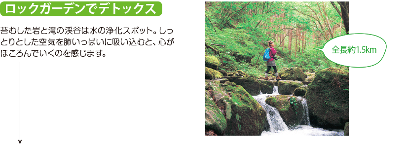 ロックガーデンでデトックス 苔むした岩と滝の渓谷は水の浄化スポット。しっとりとした空気を肺いっぱいに吸い込むと、心がほころんでいくのを感じます。