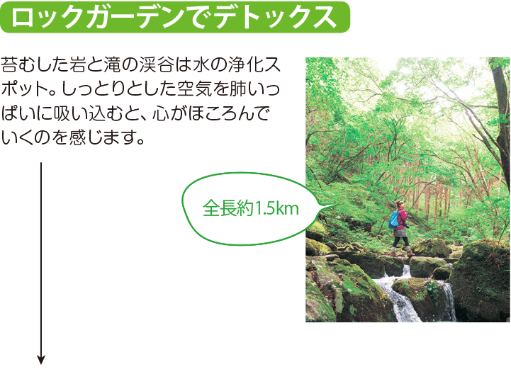ロックガーデンでデトックス 苔むした岩と滝の渓谷は水の浄化スポット。しっとりとした空気を肺いっぱいに吸い込むと、心がほころんでいくのを感じます。