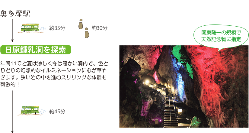 奥多摩駅 日原鍾乳洞を探索 年間11℃と夏は涼しく冬は暖かい洞内で、色とりどりの幻想的なイルミネーションに心が華やぎます。狭い岩の中を進むスリリングな体験も刺激的!