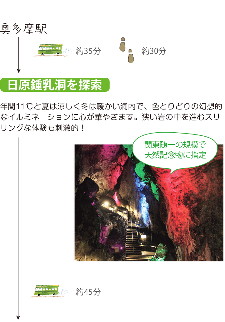奥多摩駅 日原鍾乳洞を探索 年間11℃と夏は涼しく冬は暖かい洞内で、色とりどりの幻想的なイルミネーションに心が華やぎます。狭い岩の中を進むスリリングな体験も刺激的!
