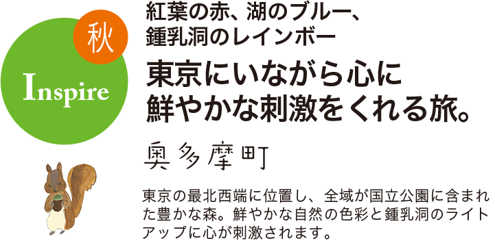 秋 Inspire 紅葉の赤、湖のブルー、鍾乳洞のレインボー 東京にいながら心に鮮やかな刺激をくれる旅。 奥多摩町 東京の最北西端に位置し、全域が国立公園に含まれた豊かな森。鮮やかな自然の色彩と鍾乳洞のライトアップに心が刺激されます。