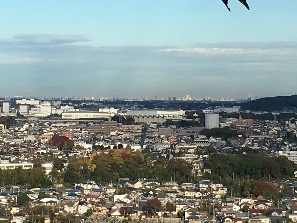 羽村神社からの眺望