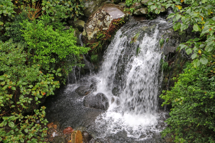 滝が多く流れる御蔵島