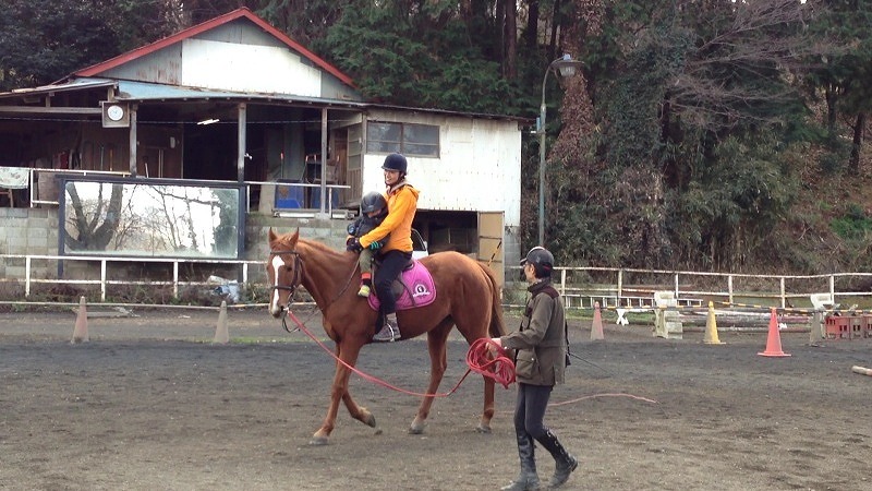 Hinode Horse Riding Club