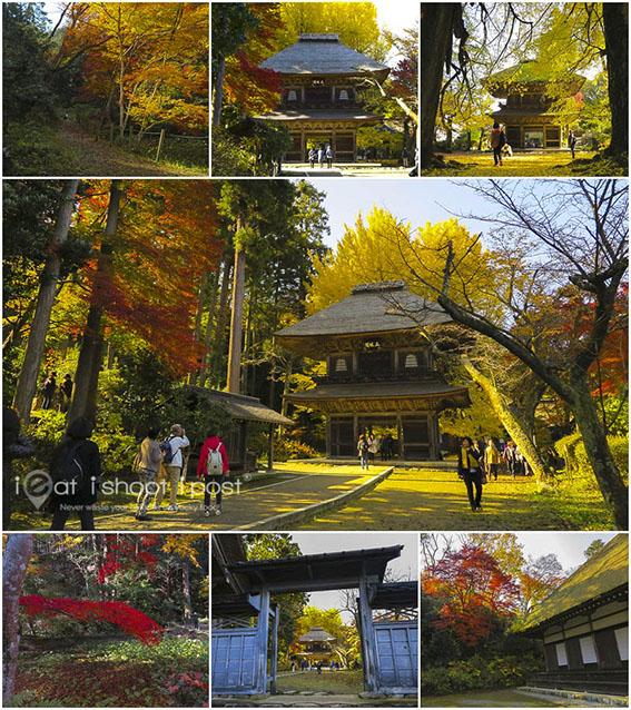 Kotoku-ji Temple 広徳寺