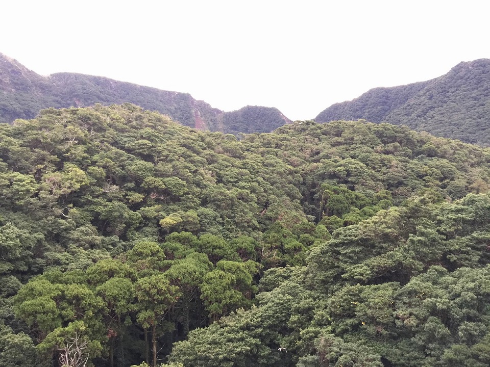 Walking Trail of Mt. Maru Periphery