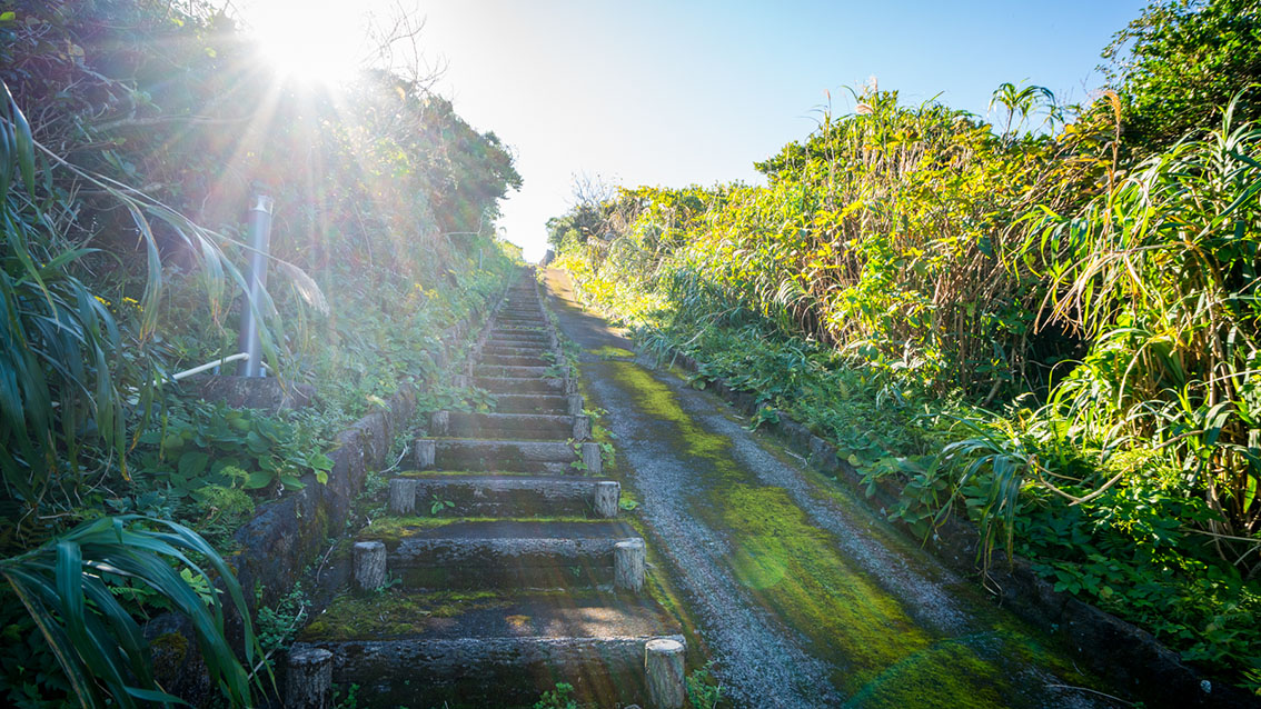 The path towards Oyama Prospect Park