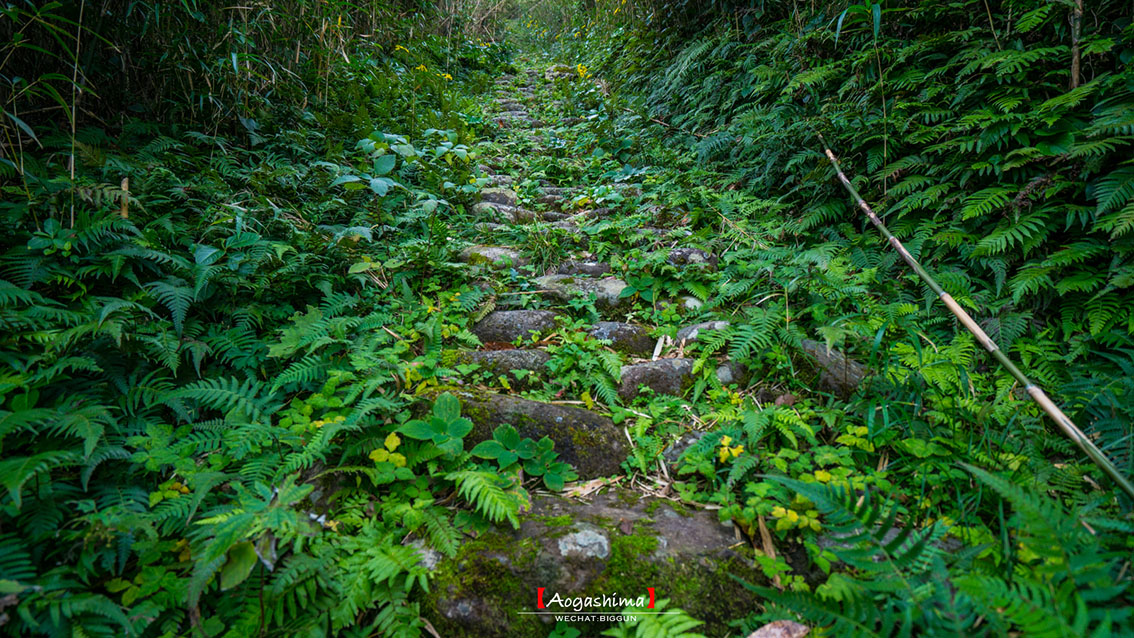 The trail along Maruyama Walking Path