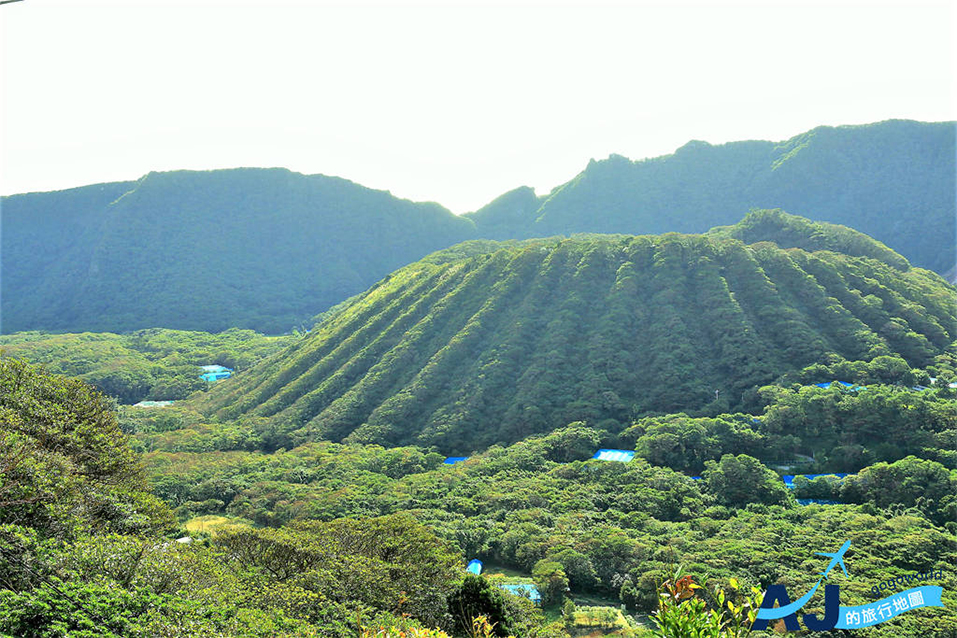 Maruyama