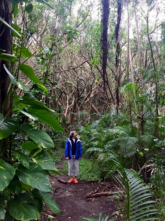 Hahajima Forest Stroll