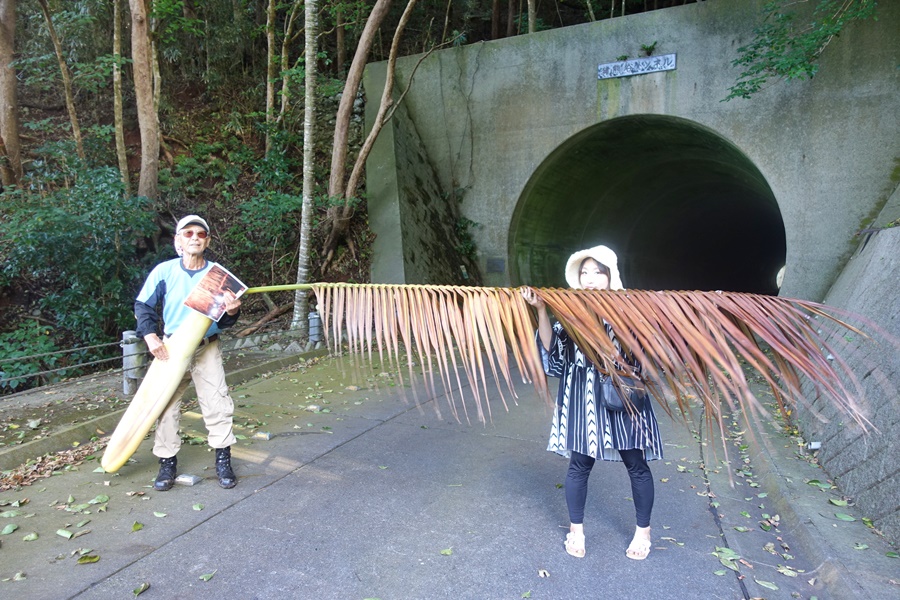 In front of the tunnel, there are large palm leaves.