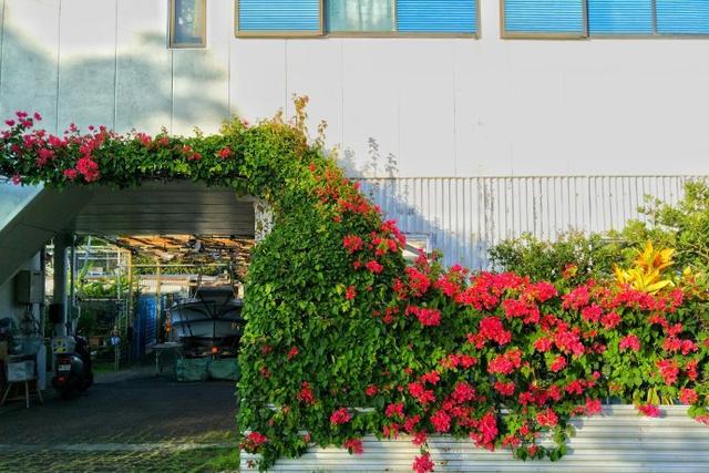 A house with flowers in bloom