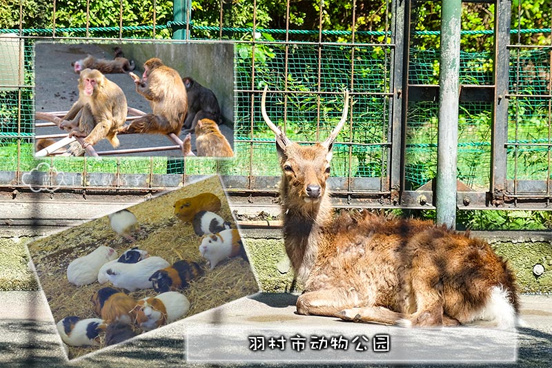 Hamura Zoo 2