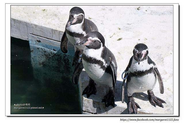 Hamura City Zoo