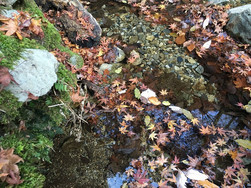 Around Hossawa Waterfall