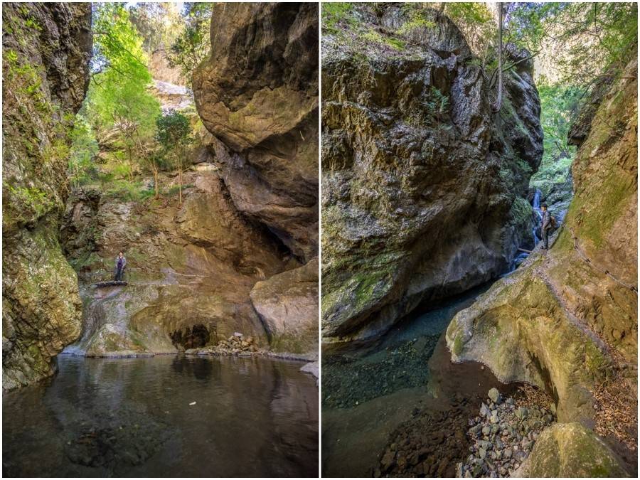 Natural monuments in Tokyo