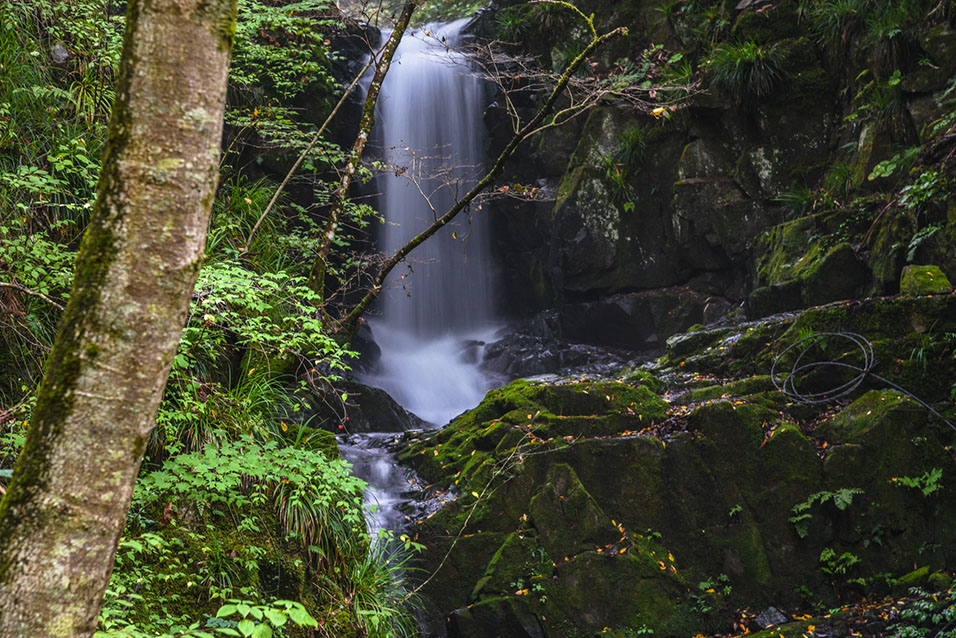 Kuzuryu Waterfall