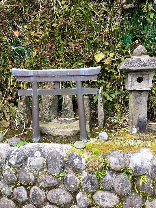 Mikura-jima | TAMASHIMA.tokyo