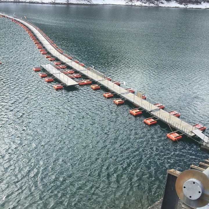 Mugiyama Floating Bridge