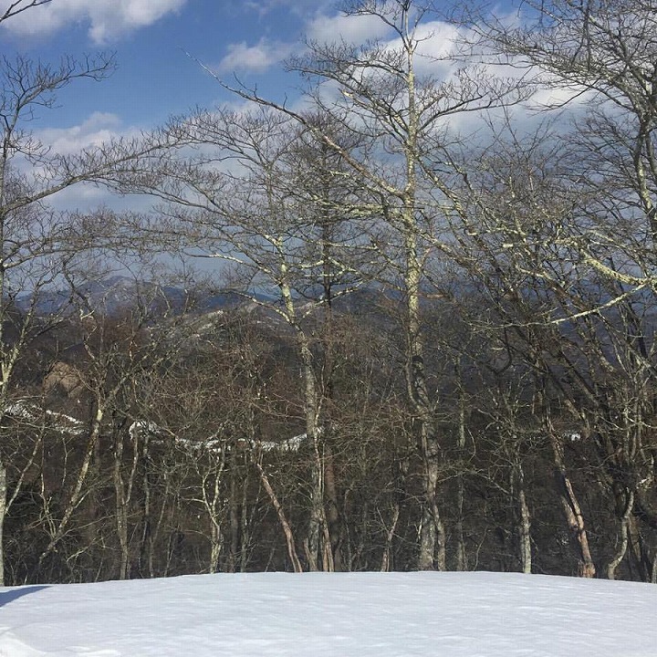 Top of Mt. Kawanori