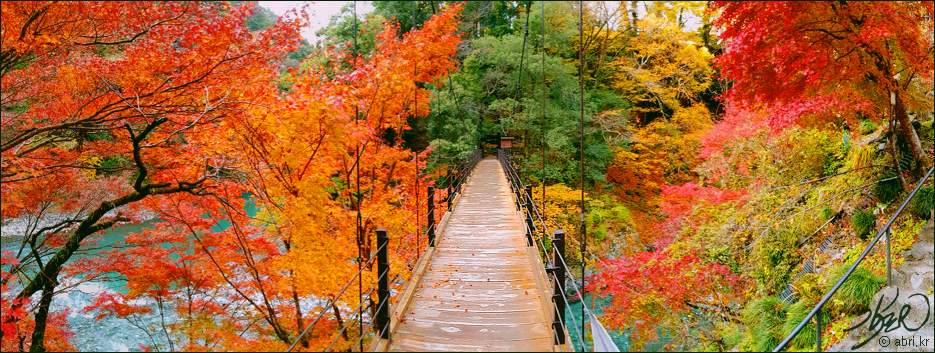 Hatonosu Bridge