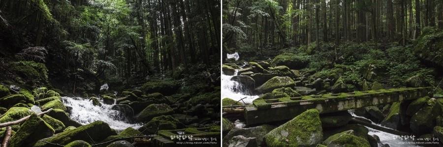 Okutama Lake Park: A Hot Spot in the Yamano Furusato Village