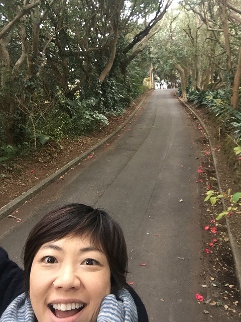 Habu Yamaguchi Camellia Tunnel