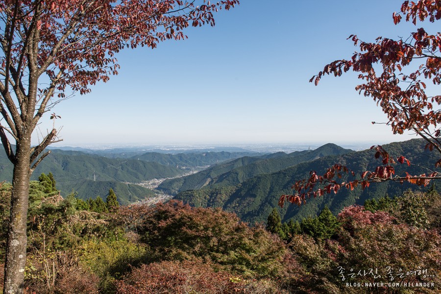 Seeing the Autumn leaves from the observation deck