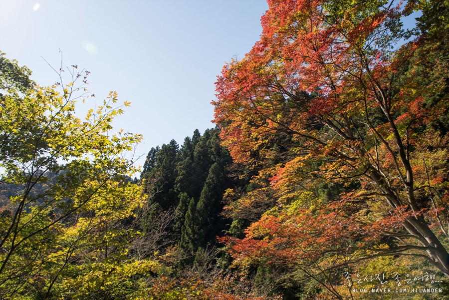 Strolling around Mount Mitake