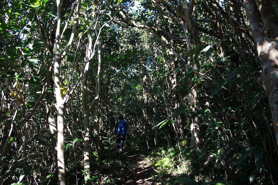 Mt. Miyatsuka