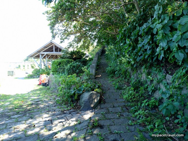 The slope of Toshima Island