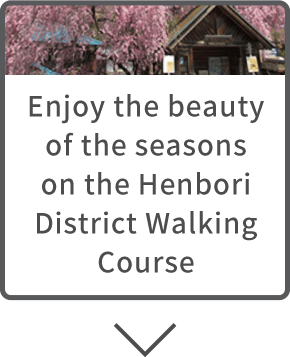 Enjoy the beauty of the seasons on the Henbori District Walking Course