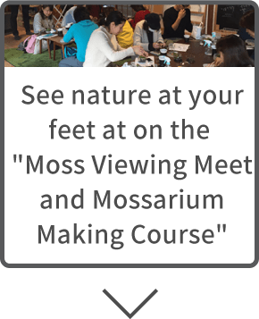 See nature at your feet at on the "Moss Viewing Meet and Mossarium Making Course"