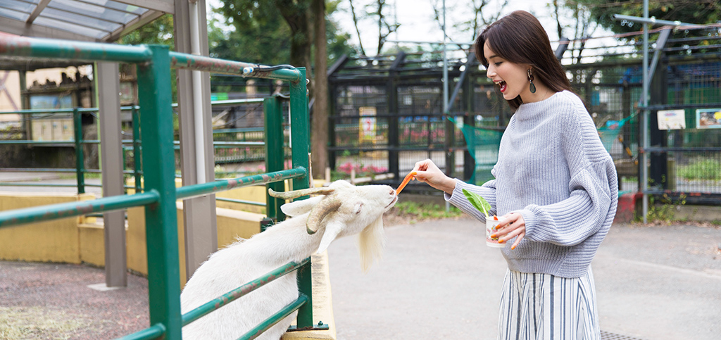 動物たちとの距離感ゼロ！羽村市動物公園ツアー