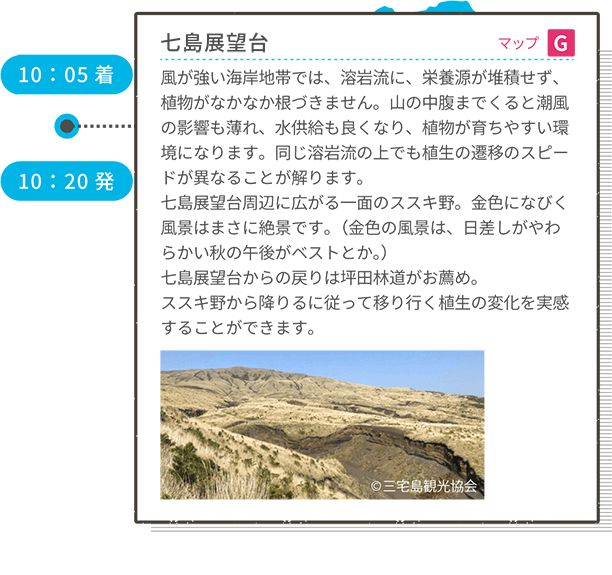 10:05着 七島展望台 マップH 風が強い海岸地帯では、溶岩流に、栄養源が堆積せず、植物がなかなか根づきません。山の中腹までくると潮風の影響も薄れ、水供給も良くなり、植物が育ちやすい環境になります。同じ溶岩流の上でも植生の遷移のスピードが異なることが解ります。七島展望台周辺に広がる一面のススキ野。金色になびく風景はまさに絶景です。(金色の風景は、日差しがやわらかい秋の午後がベストとか。)七島展望台からの戻りは坪田林道がお薦め。ススキ野から降りるに従って移り行く植生の変化を実感することができます。 10:20発