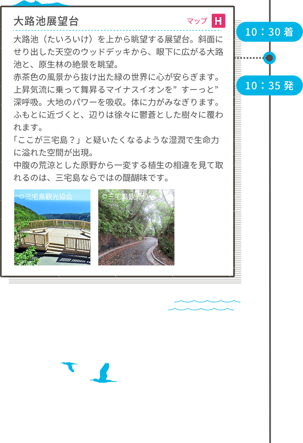 10:30着 大路池展望台 マップG 大路池(たいろいけ)を上から眺望する展望台。斜面にせり出した天空のウッドデッキから、眼下に広がる大路池と、原生林の絶景を眺望。赤茶色の風景から抜け出た緑の世界に心が安らぎます。上昇気流に乗って舞昇るマイナスイオンを”すーっと”深呼吸。大地のパワーを吸収。体に力がみなぎります。ふもとに近づくと、辺りは徐々に鬱蒼とした樹々に覆われます。「ここが三宅島?」と疑いたくなるような湿潤で生命力に溢れた空間が出現。中腹の荒涼とした原野から一変する植生の相違を見て取れるのは、三宅島ならではの醍醐味です。 10:35発