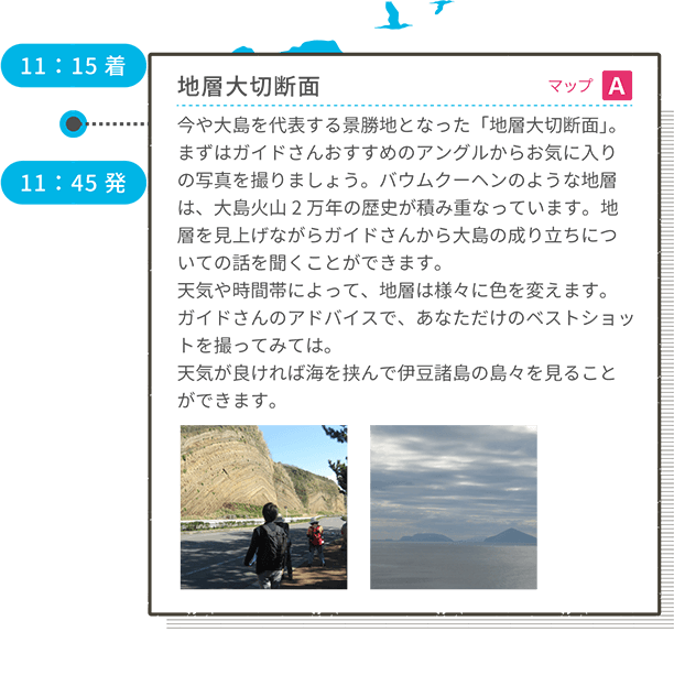 11:15着 地層大切断面 マップA 今や大島を代表する景勝地となった「地層大切断面」。まずはガイドさんおすすめのアングルからお気に入りの写真を撮りましょう。バウムクーヘンのような地層は、大島火山2万年の歴史が積み重なっています。地層を見上げながらガイドさんから大島の成り立ちについての話を聞くことができます。天気や時間帯によって、地層は様々に色を変えます。ガイドさんのアドバイスで、あなただけのベストショットを撮ってみては。天気が良ければ海を挟んで伊豆諸島の島々を見ることができます。 11:45発