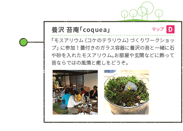養沢 苔庵「Copuea」 マップD 「モスアリウム(コケのテラリウム)づくりワークショップ」に参加!蓋付きのガラス容器に養沢の苔と一緒に石や砂を入れたモスアリウム。お部屋や玄関などに飾って苔ならではの風情と癒しをどうぞ。